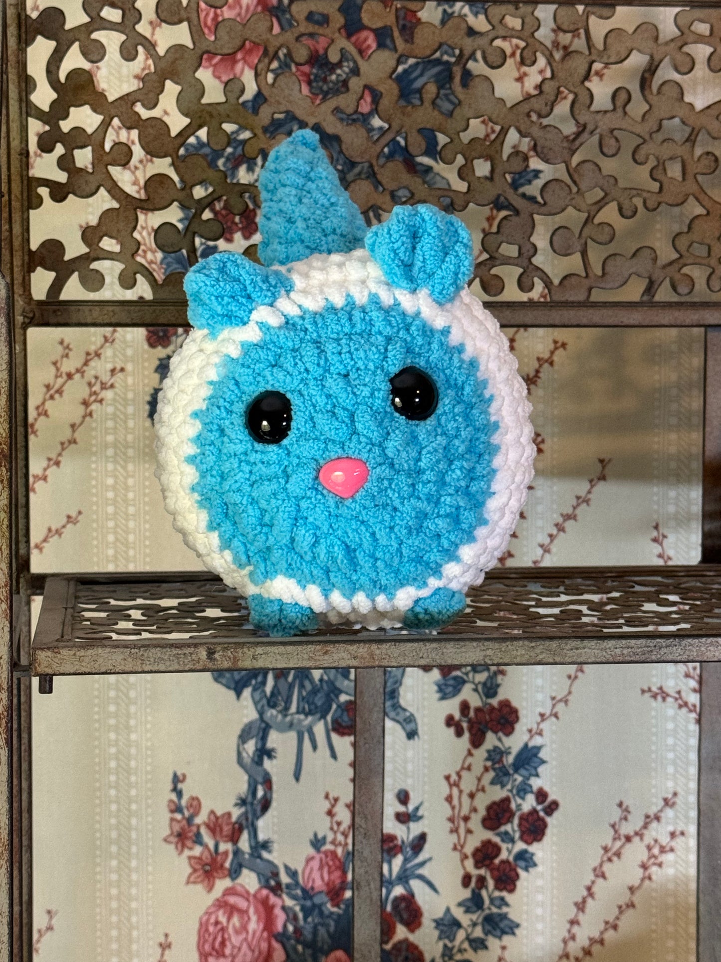 Blue and White cat
