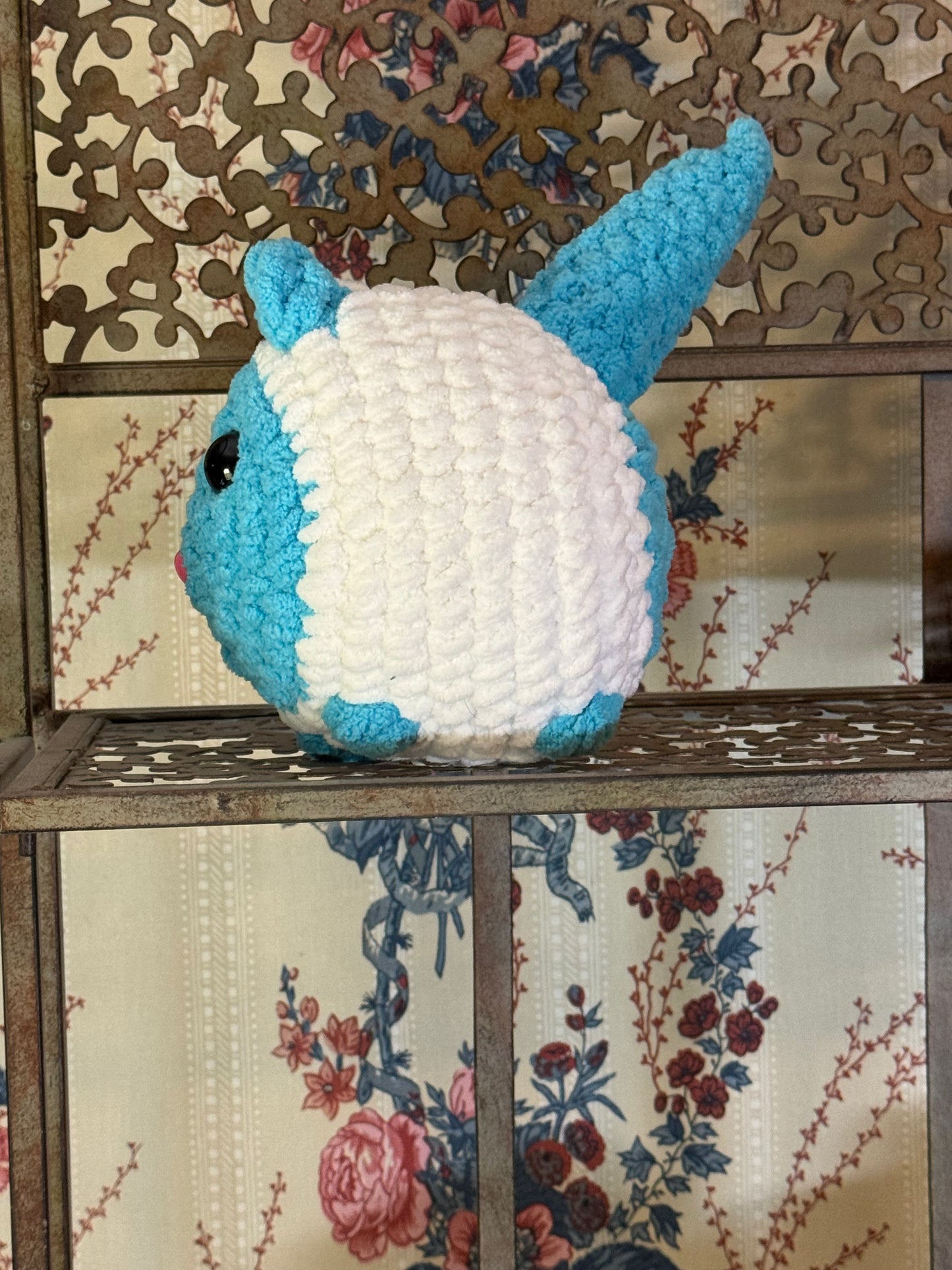 Blue and White cat