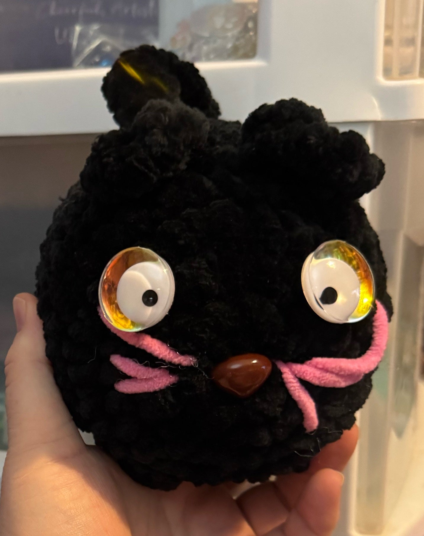 Black cat