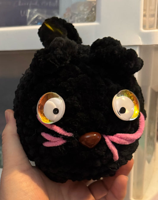 Black cat